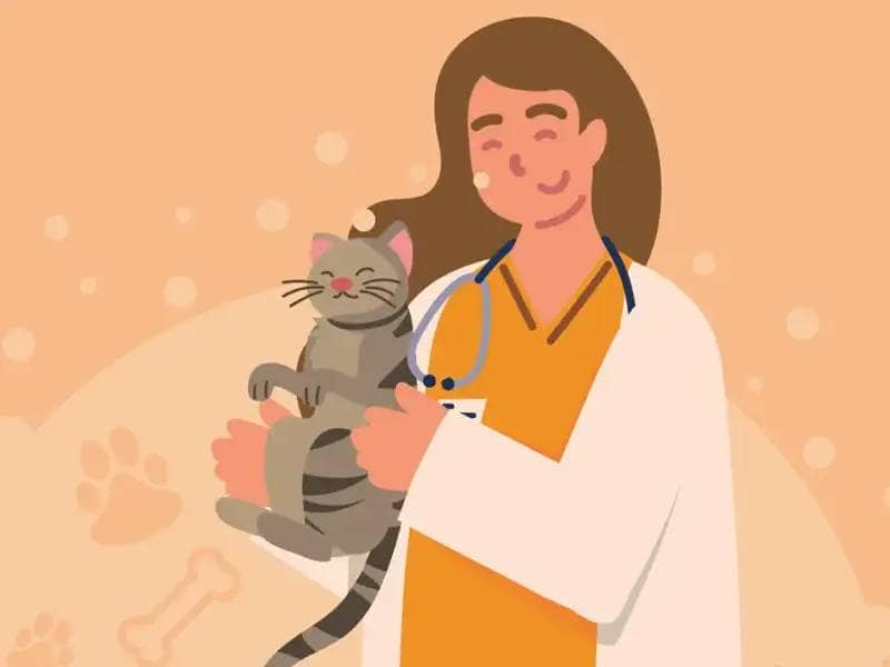 Veterinarian with cats