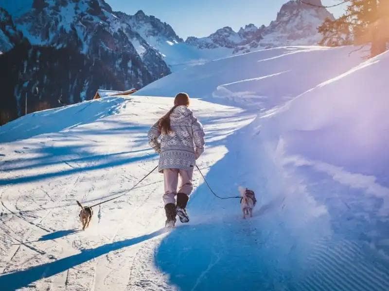 Mädchen geht mit zwei Hunden im Schnee spazieren