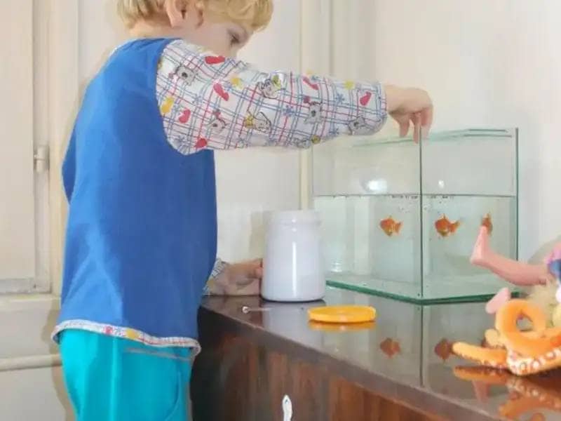 Junge füttert Fische im Aquarium