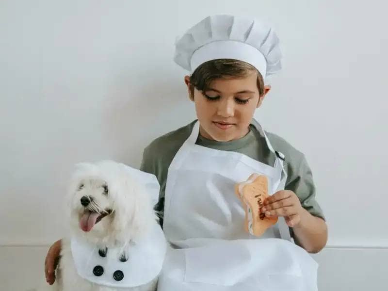 Pies i chłopiec w czapce szefa kuchni