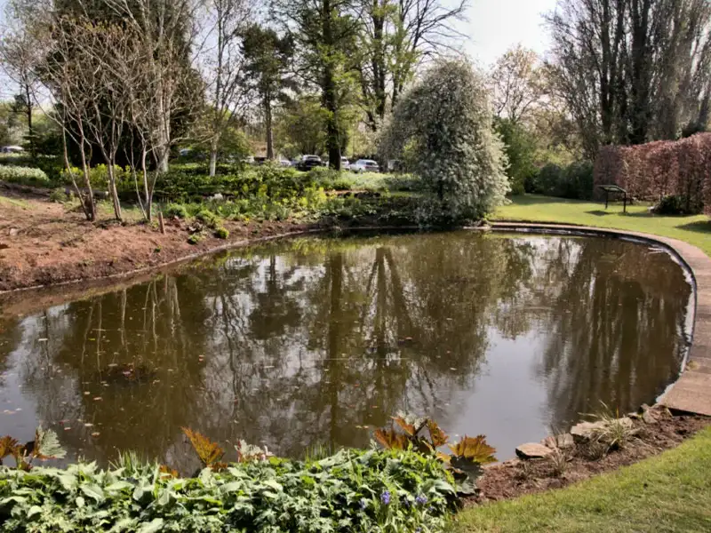 Oval pond surrounded by trees and bushes