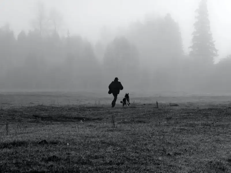 Pies i człowiek we mgle