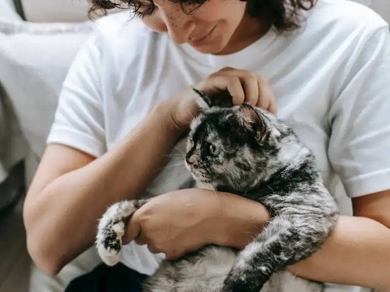 Woman pets cat