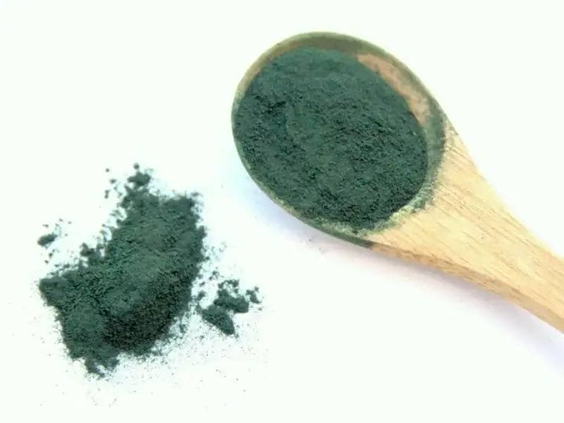 green algae powder on wooden spoon
