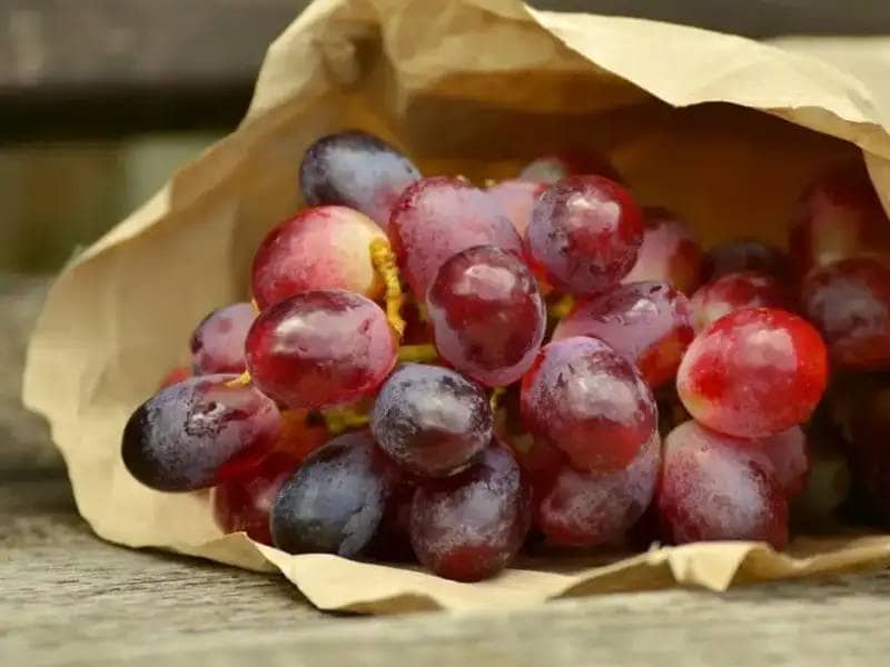 red grapes in paper bag
