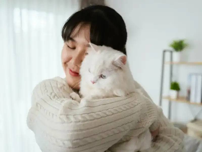 Kobieta przytula się do białego kota