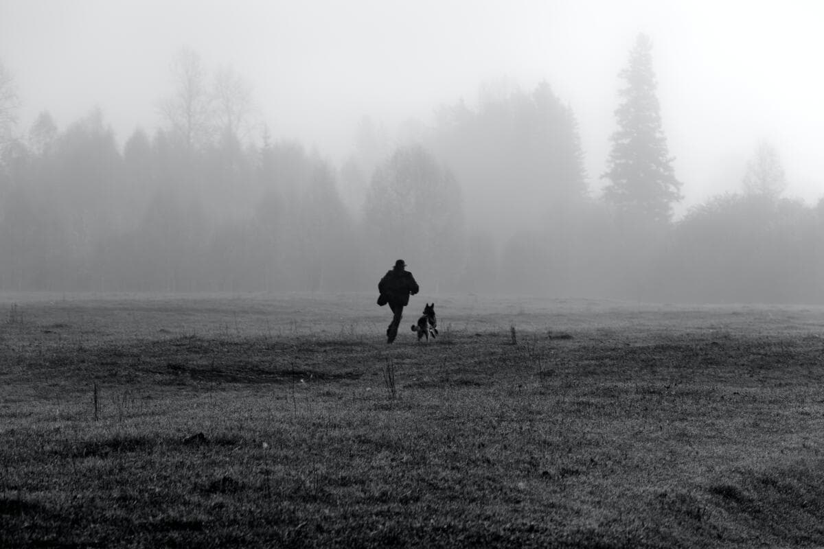 Hund und Mensch im Nebel